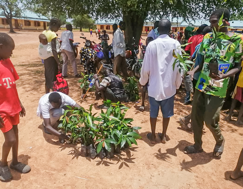 Planting Seedlings in South Sudan