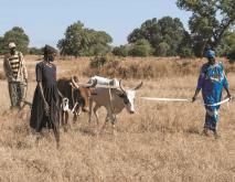 What Does Farming Look Like in South Sudan?